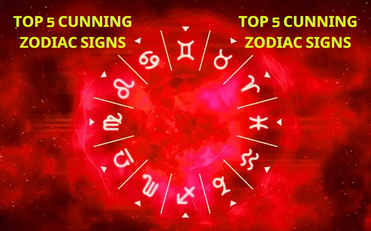 Top 5 cunning zodiac signs